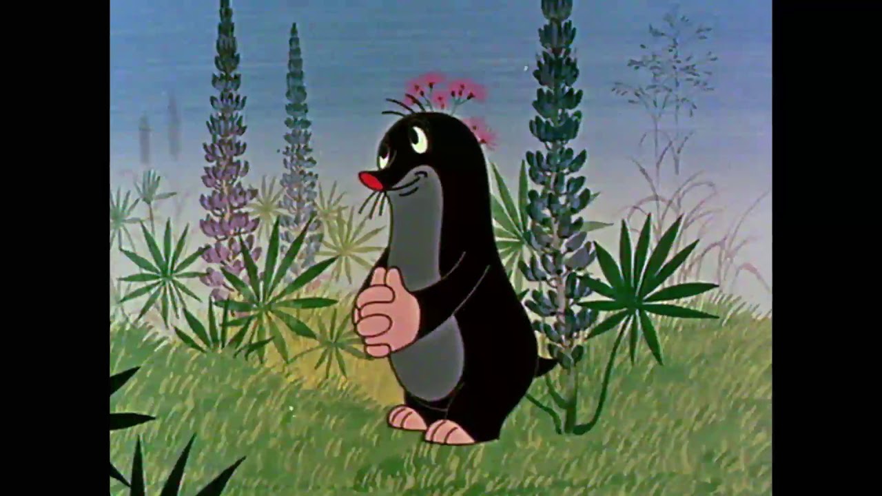Comment la petite taupe a confectionné son pantalon